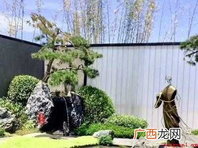 庭院灭蚊的最佳方法