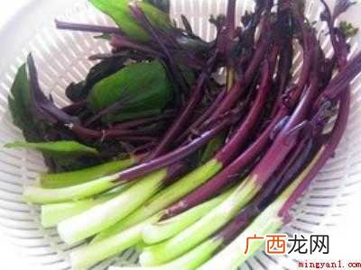 红菜怎么吃
