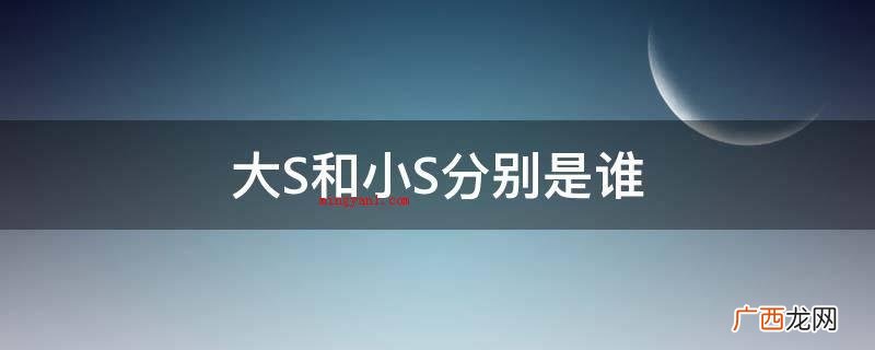 台湾电视金钟奖最佳女主角 大S和小S分别是谁