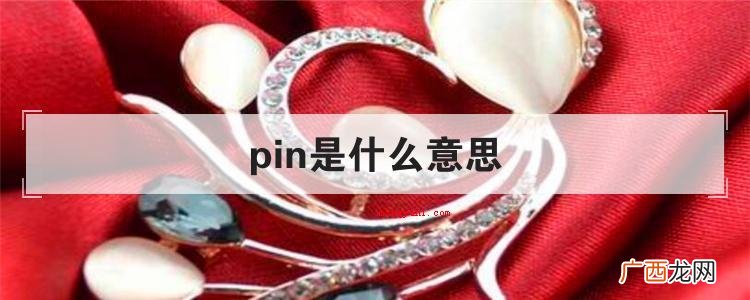 简略回应pin是个英语单词,做为专有名词时意思是:订书针;胸 pin是什么意思