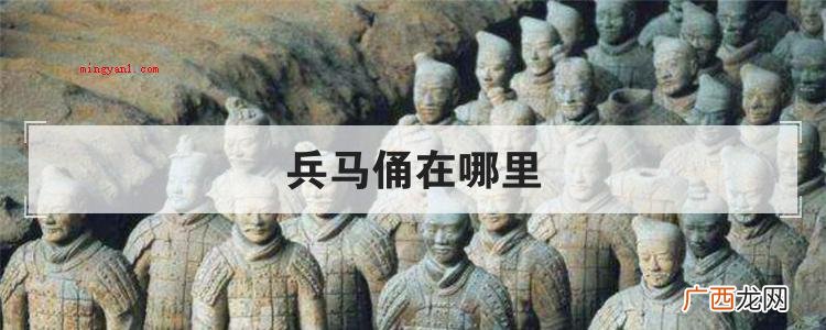 简略回应兵马俑坐落于陕西省西安市临潼区 兵马俑在哪里