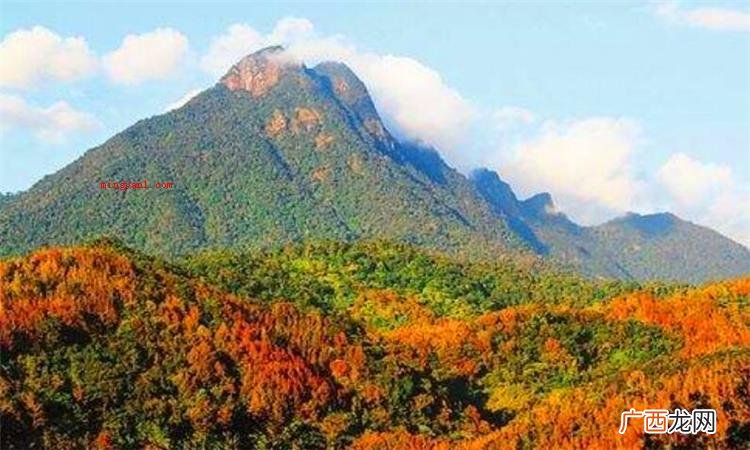 海南五指山哪个地方最好? 五指山在哪里