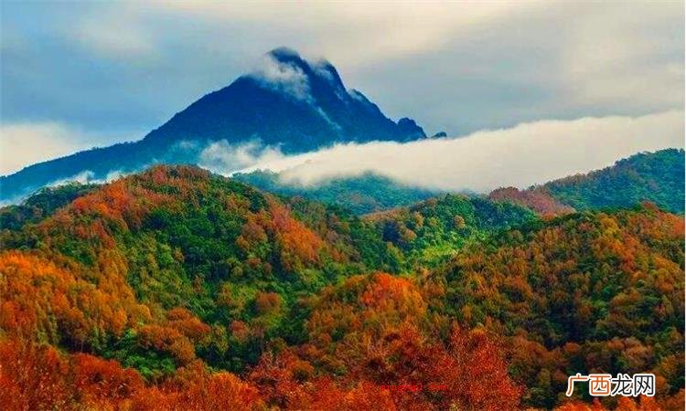 海南五指山哪个地方最好? 五指山在哪里