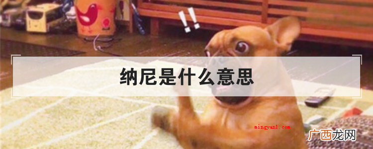 简略回应纳尼“通常就是什么的意思,或是是表述天呐等含意” 纳尼是什么意思