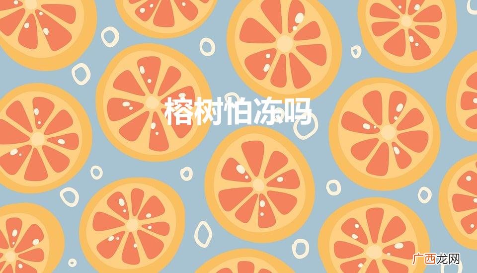 榕树怕冻吗（人参榕树怕冻吗)