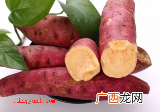 拿筋膜枪在腿上突突就能瘦腿吗蚂蚁庄园 11月26日答案最新