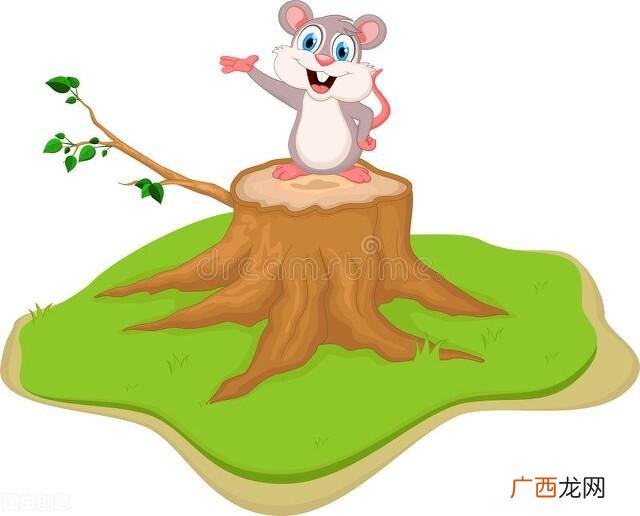 有谋有智是什么生肖 十二生肖足智多谋吗