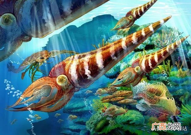 地球经历的生物灭绝演变过程 哪种动物躲过了五次大灭绝