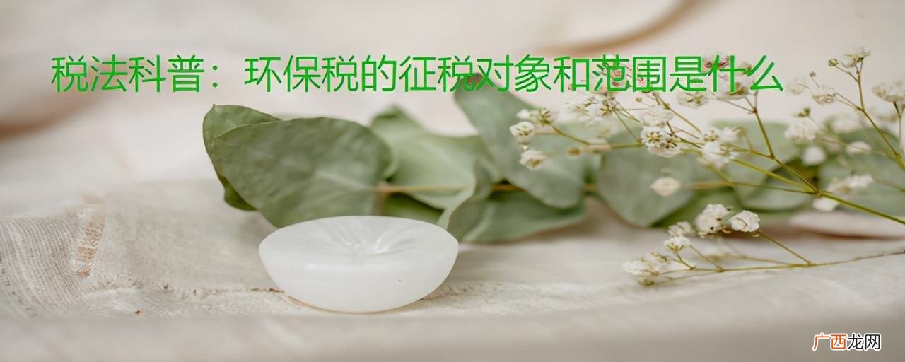 污染物具体指什么 环境保护税征税范围包括哪些