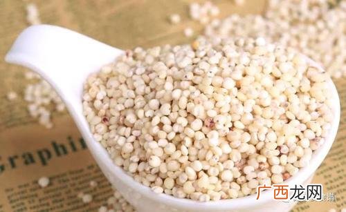 高粱米热量高吗,高粱属于能量饲料吗？