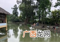 成都蒙阳在哪里,跪求成都火车北站到彭州市蒙阳镇怎么走？