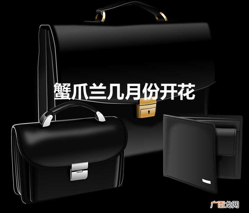 蟹爪兰几月份开花（蟹爪兰有花苞了怎么养护)