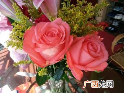 鲜花可以保存多长时间,兰花的开花的寿命是多久？在开花周期内需要注意什么？