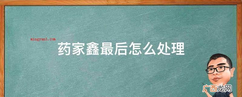 药家鑫犯故意伤害罪,被判处死刑,剥夺政治权利终生 药家鑫最后怎么处理