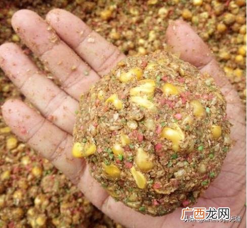 不同水域玉米打窝后的垂钓时间 玉米打窝多久发窝