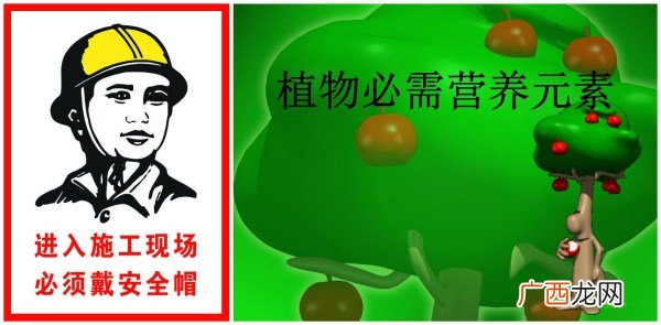必须和必需如何区分,“必须”与“必需”的用法？
