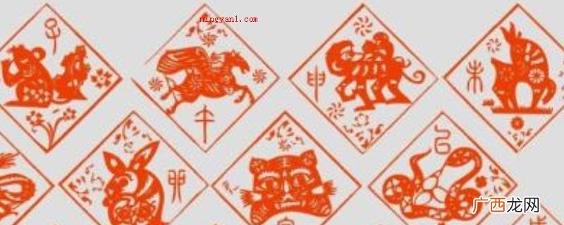 蛇是软件动物,样子改变大,蛇鼠一窝,有头无尾,邯郸学步这些全 杂七杂八打个生肖