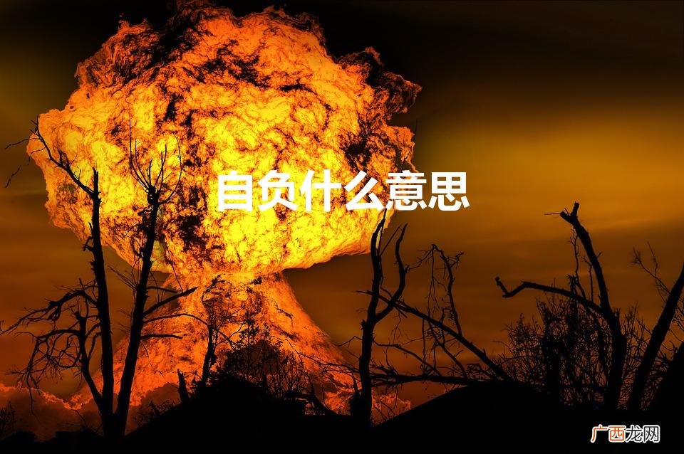 自负什么意思（镜中已觉星星误人不负春春自负什么意思)