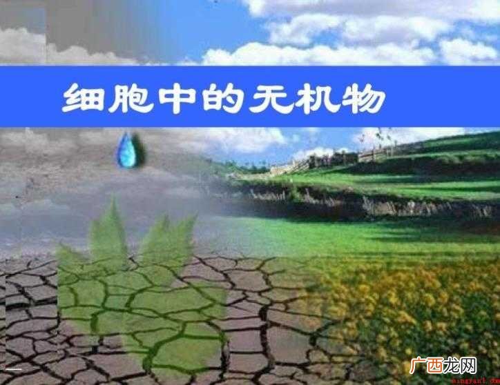 什么是无机物