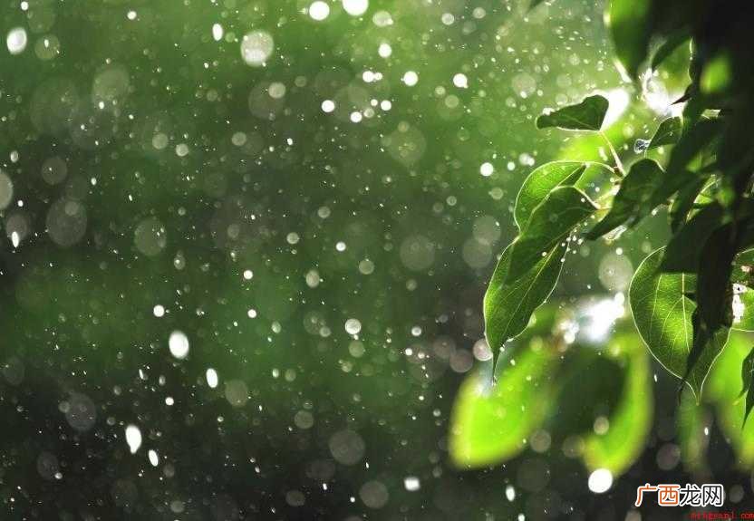 梅雨期的主要天气特征是什么
