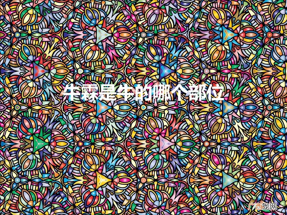 牛霖是牛的哪个部位（牛霖是牛最差的部位吗)