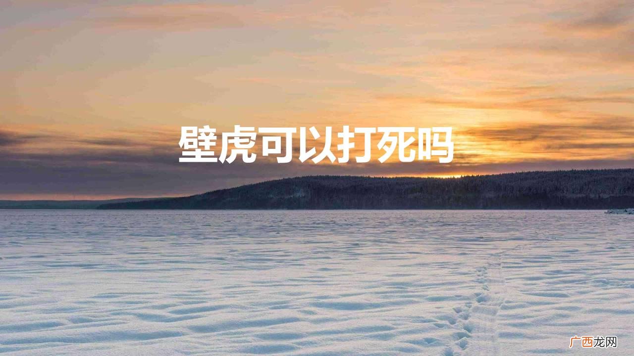 农村壁虎弄死了有什么讲究吗 家里有壁虎可以打死吗