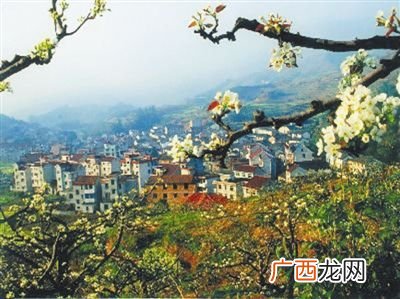 村的由来,驴叫村的由来？