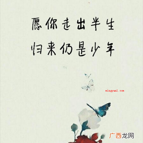 愿你走出半生 归来仍是少年的上一句是什么？