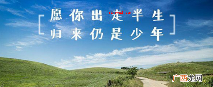愿你走出半生 归来仍是少年的上一句是什么？