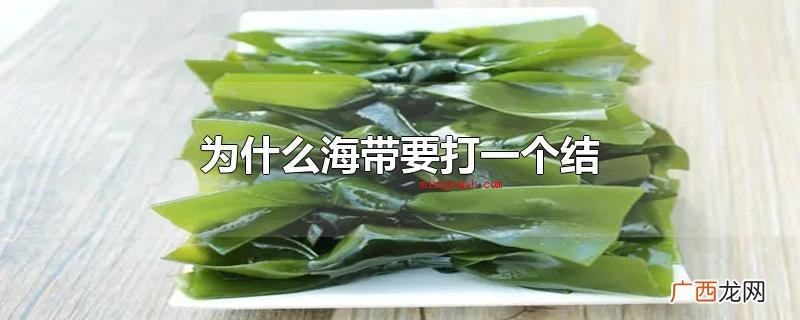 海带成本费便宜,营养丰富 为什么海带要打一个结