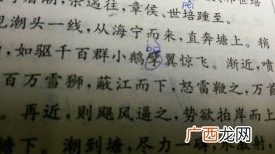 擘怎么读,擘字读音相同的字？