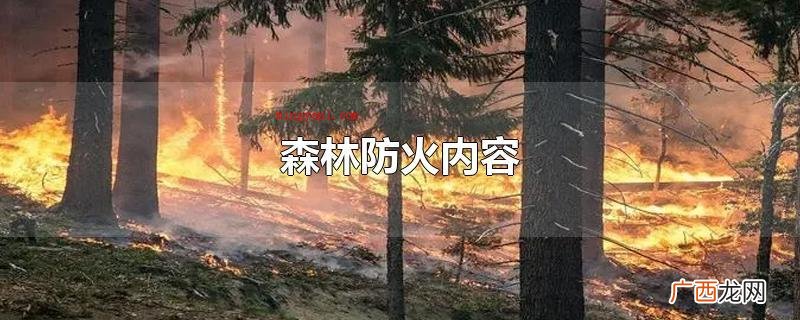 森林防火十个 森林防火内容