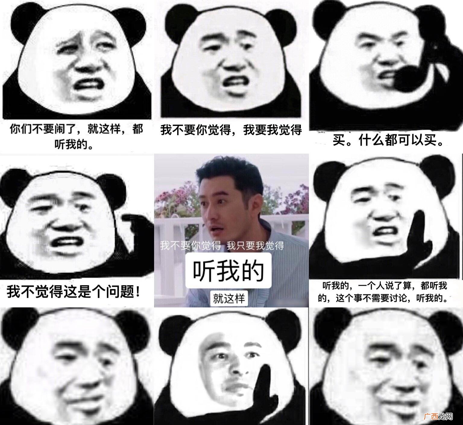即大牌明星冯绍峰在综艺中说的一些十分自信心,让网民难以忘怀得 明言明语是什么意思
