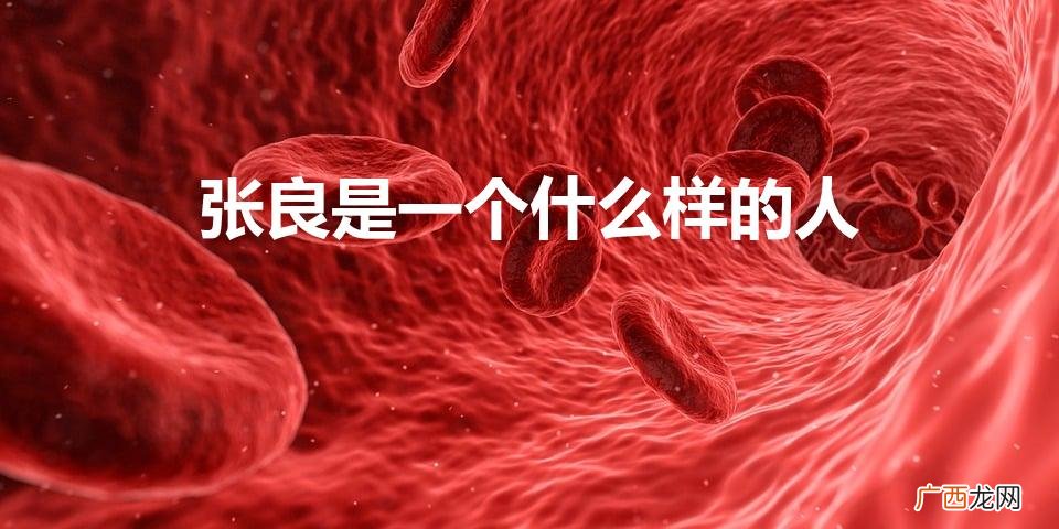 张良是一个什么样的人（说说张良是个怎样的人)