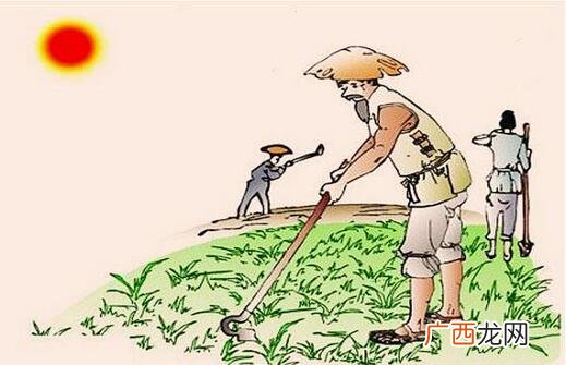 荷锄而反是什么意思,农夫荷锄中的荷是什么意思？
