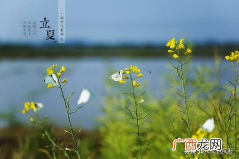 立夏节气吃鸡蛋有什么好处 立夏吃蛋的寓意是什么