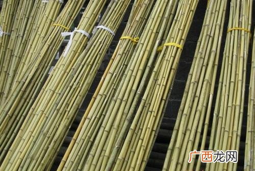 竹竿竹杆的区别,划船用的杆叫什么？