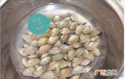 怎么看出花甲是否死了,如何辨别花甲的是死还是活?