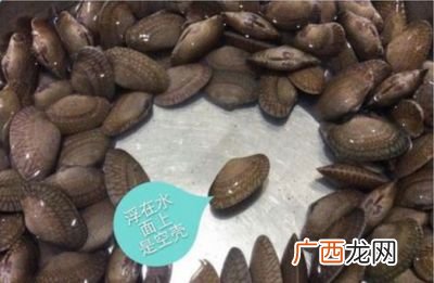怎么看出花甲是否死了,如何辨别花甲的是死还是活?