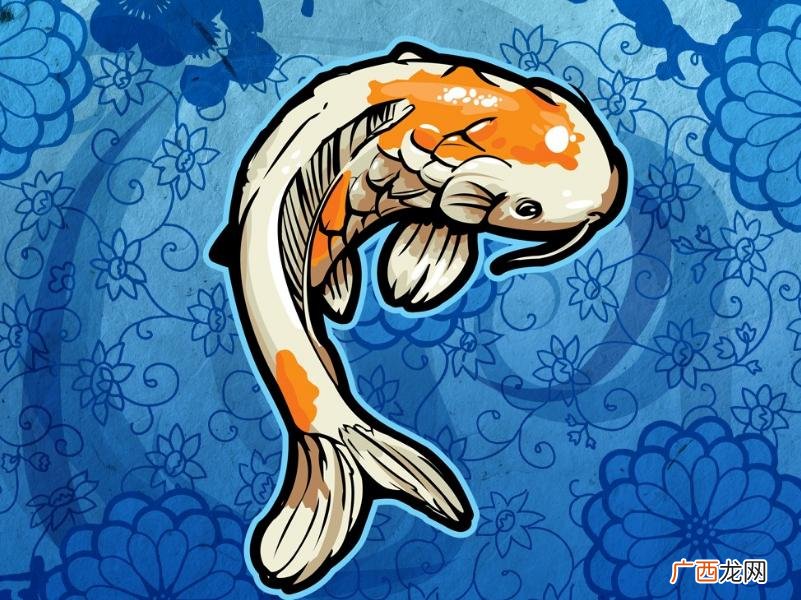 最镇宅的4种宠物 养什么动物招财又辟邪