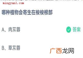 蚂蚁庄园哪种植物会寄生在梭梭根部 11月23日正确答案