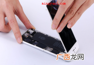 哪种植物会寄生在梭梭根部 蚂蚁庄园11月23日答案介绍