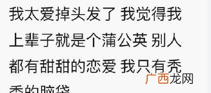 指这些秀发如同蒲公英,风一吹就需要秃的人 蒲公英人是什么意思