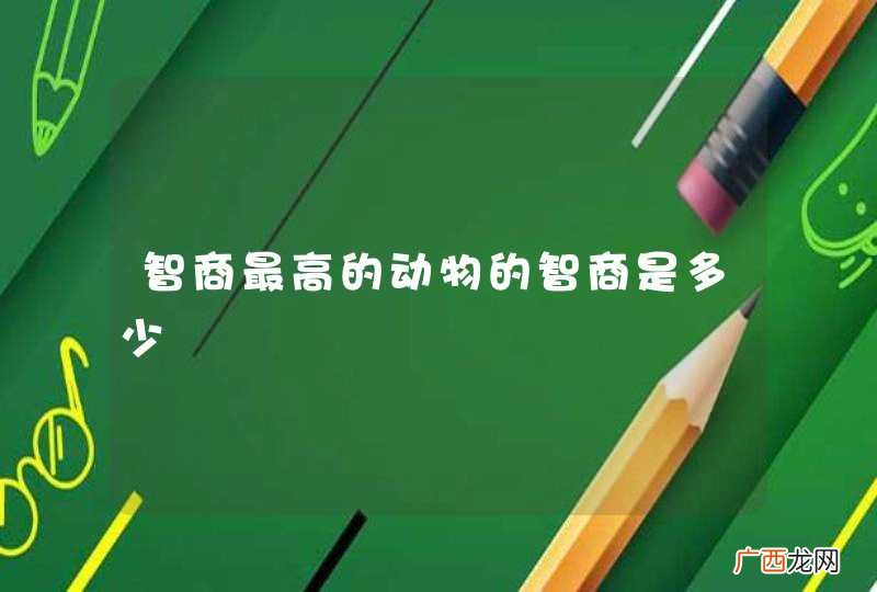 智商最高的动物的智商是多少