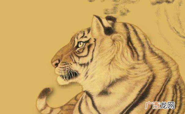 4大生肖不畏困难,坚持向前进 勇往直前是什么生肖