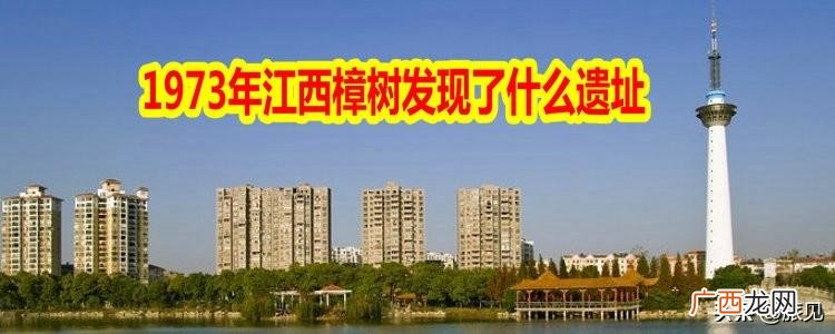 吴城遗址，商代文化遗址 江西省樟树市发现的遗址叫什么