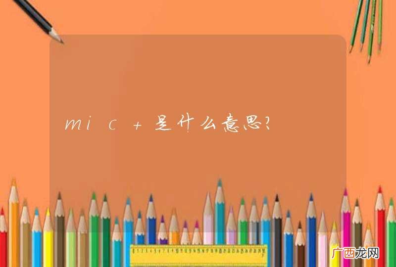 mic 是什么意思？