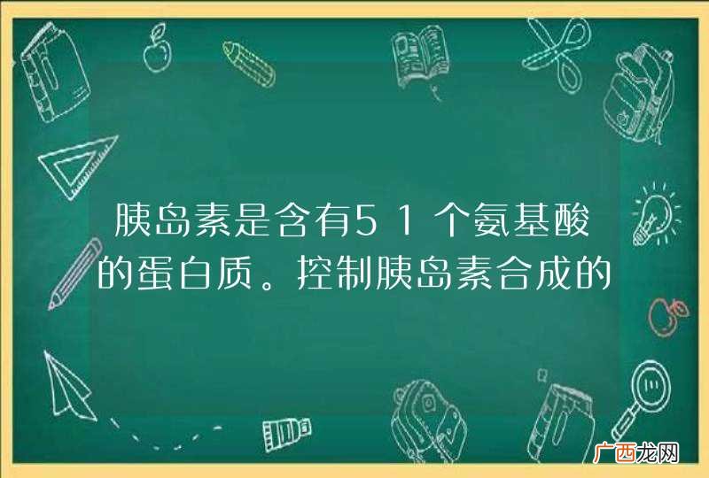 解释一下 胰岛素是含有51个氨基酸的蛋白质。控制胰岛素合成的基因中,碱基的数目至少是多少