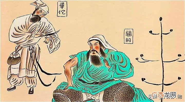 华佗开颅术可行性 华佗真的能做开颅手术吗