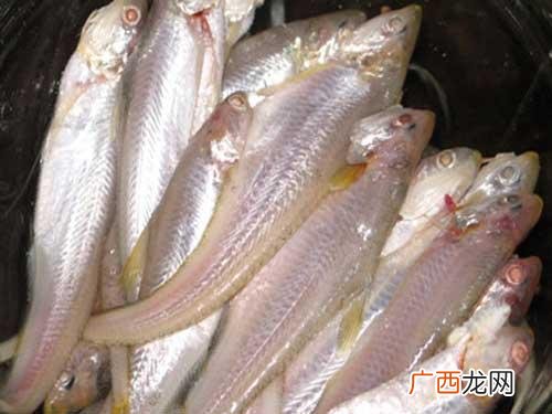 温州有哪些特色,温州什么出名？
